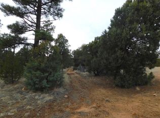 2176 Gingerbread Ln, Overgaard, AZ 85933