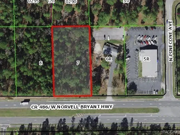 2457 W Norvell Bryant Hwy, Lecanto, FL 34461
