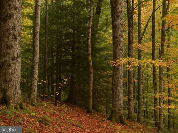 35296 Diplomat Dr, Mechanicsville, MD 20659