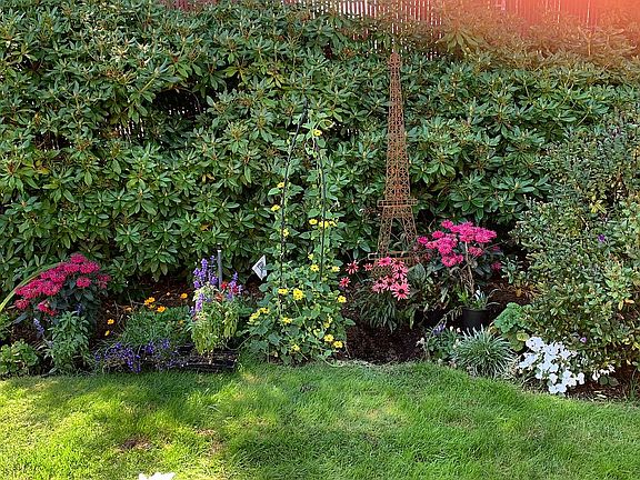 Private backyard
