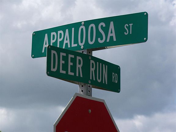 3rd image of 269 Appaloosa St