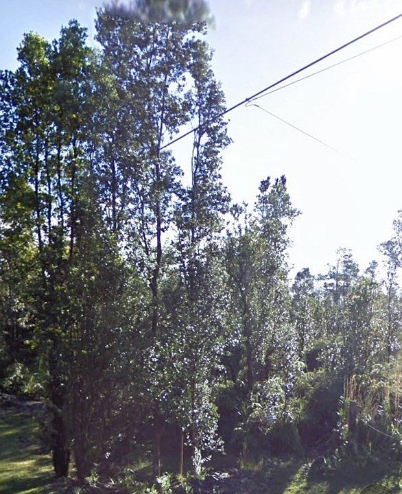 2nd image of 11-1811 Kaimana St Lot 31