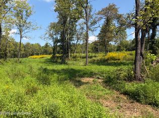 2679 Carl Newby Rd, Falls Of Rough, KY 40119