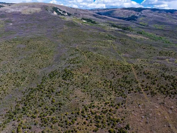 Parcel 3 W Elk View Drive, Cedaredge, CO 81413