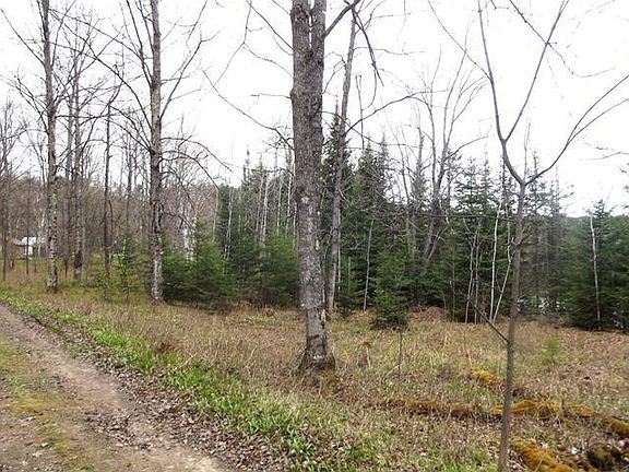 3rd image of ON E PORCUPINE LAKE RD Lot