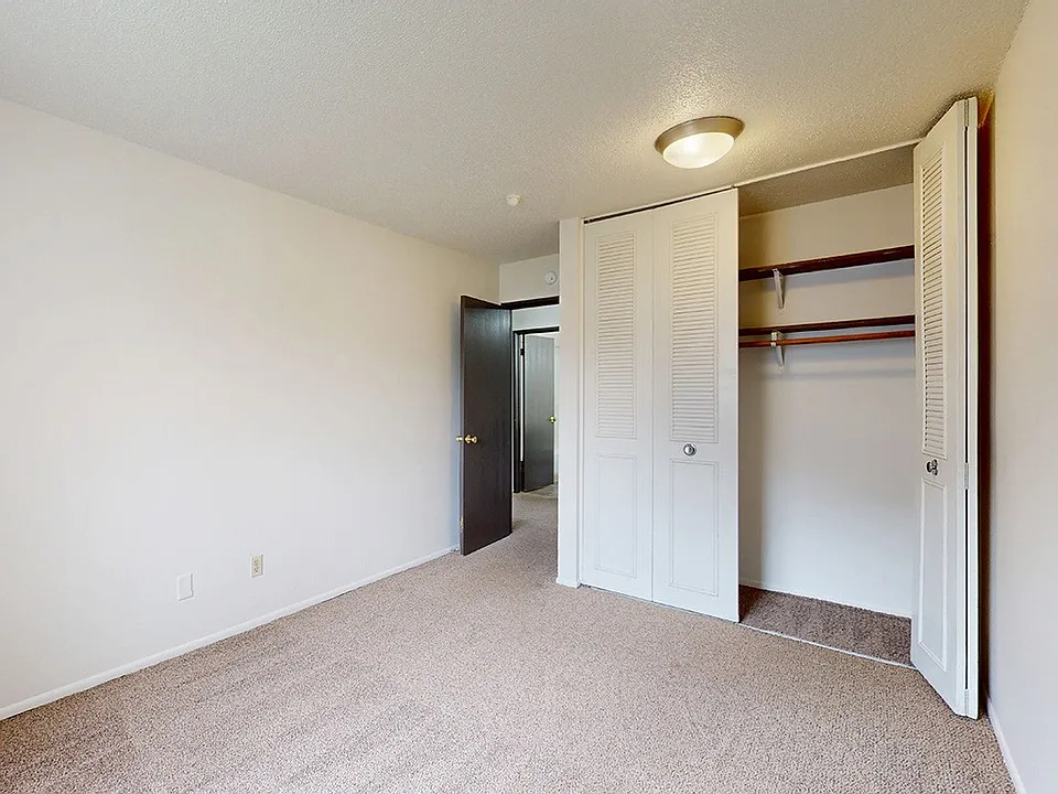 Plush Carpeting Throughout