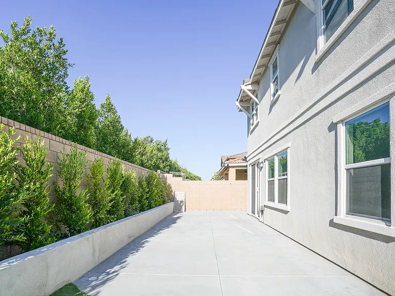 Back Yard