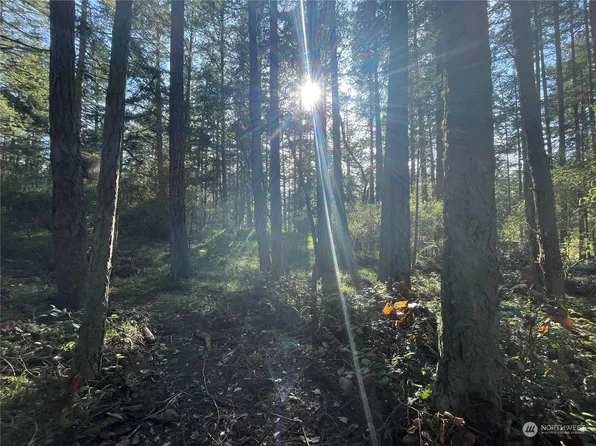 1241 Pavey Boulevard, Lopez Island, WA 98261