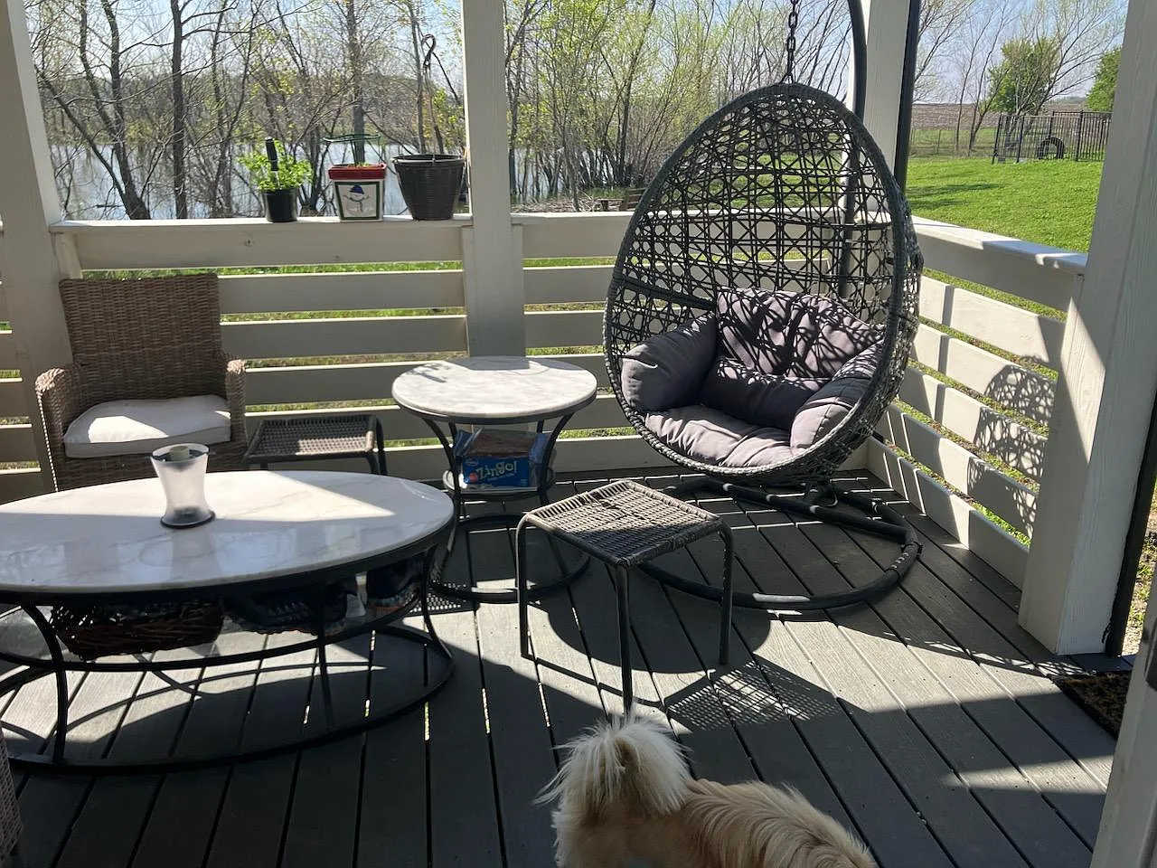 1 bed, 399 sqft, $1,500 — Photo 2