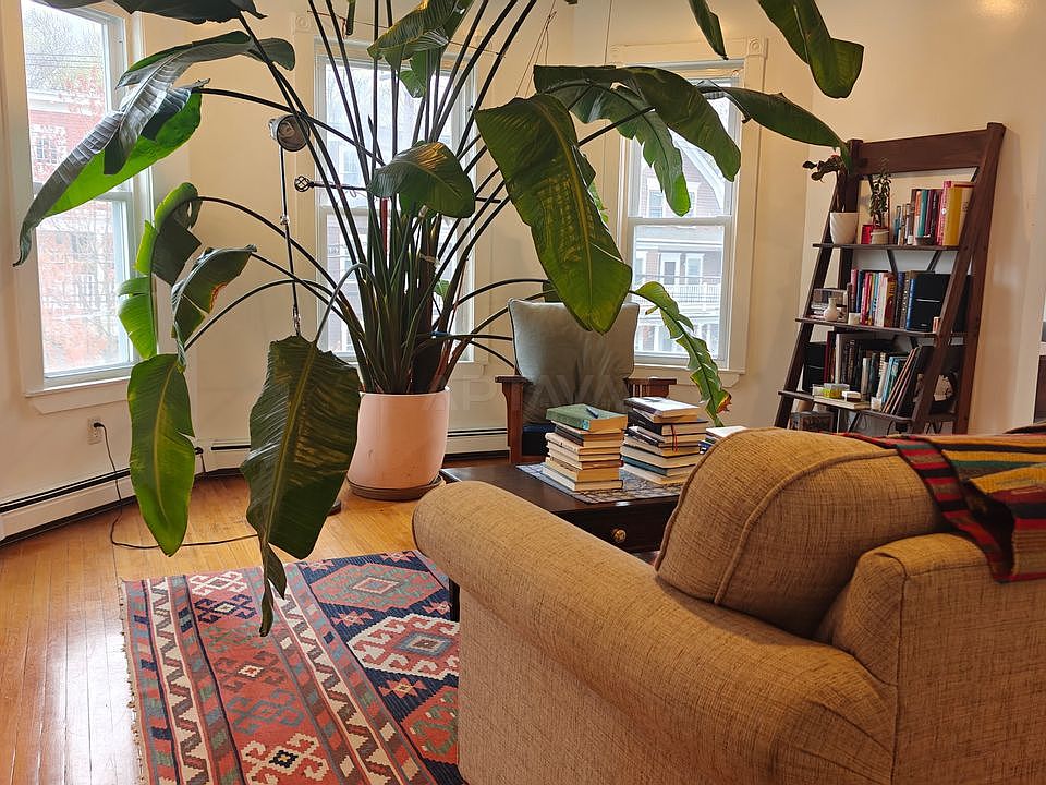 1st image of 2 Rogers Ave #2
