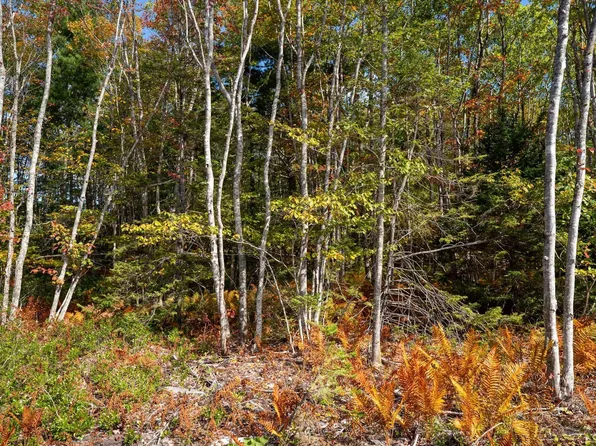 Morton Dr #68, Queens, NS B0T 1K0