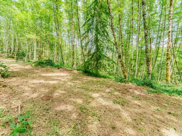 0 Upperwest Road, Castle Rock, WA 98611