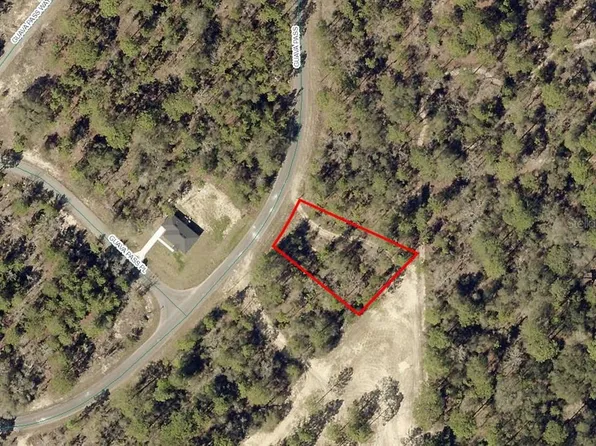 164 Guava Pass #10, Ocklawaha, FL 32179