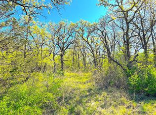 7885 Old Agnes Rd, Poolville, TX 76487