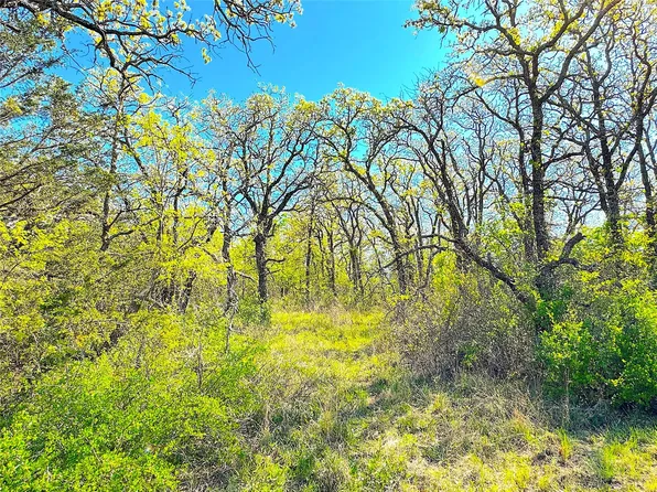 7885 Old Agnes Rd, Poolville, TX 76487