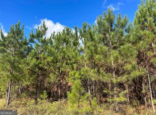 7 George McCorkle Rd, Buena Vista, GA 31803