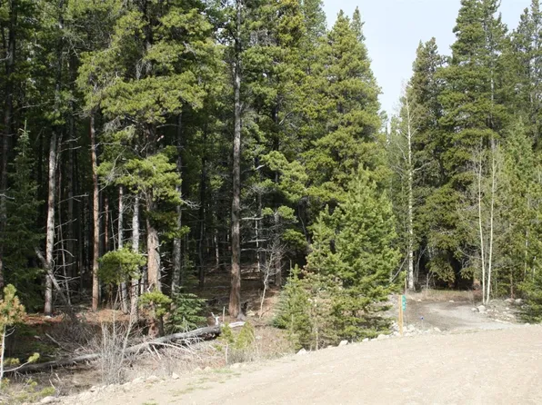 180 Vots Dr, Fairplay, CO 80440