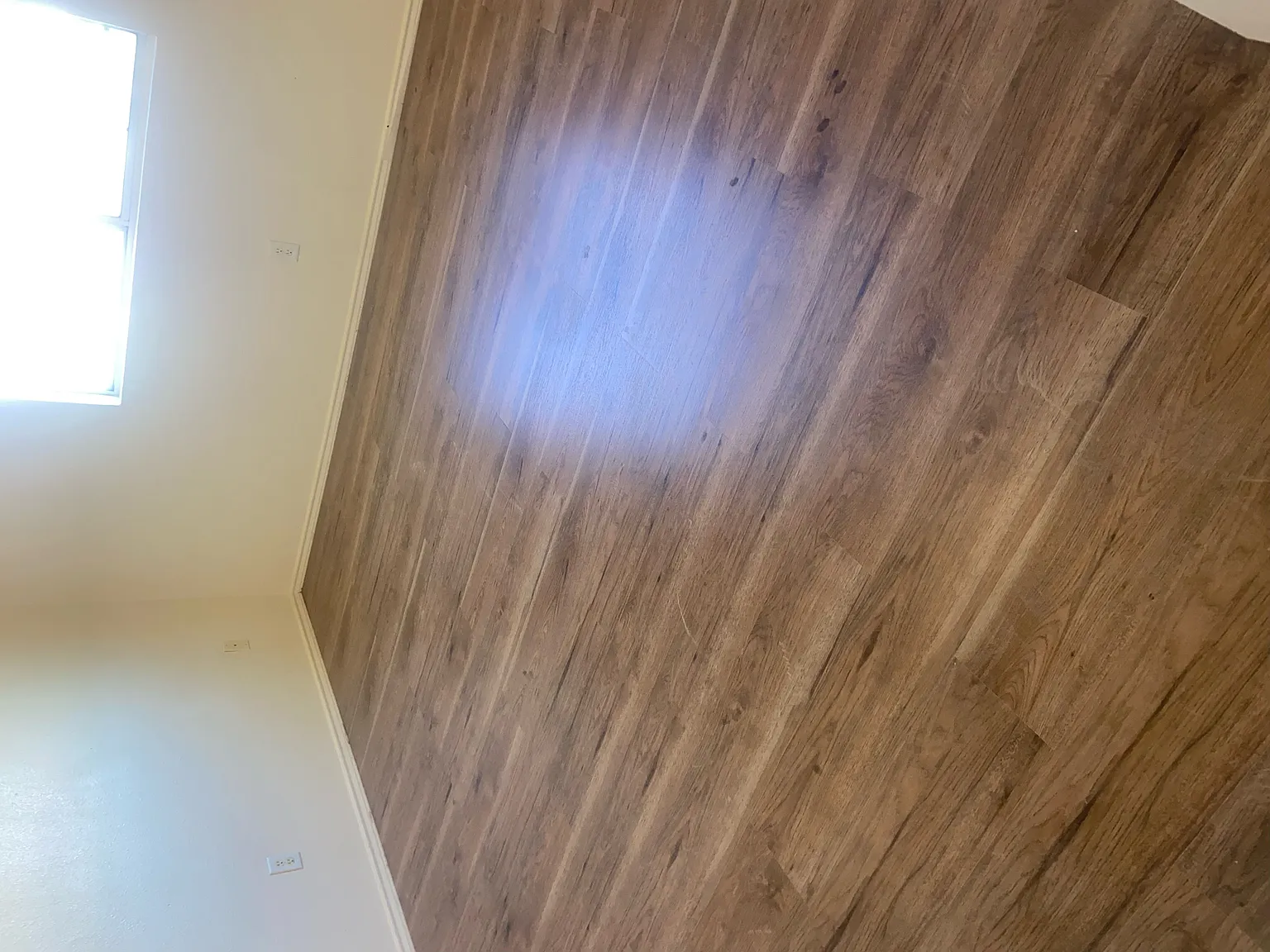 4104 Gus Dr — Photo 3