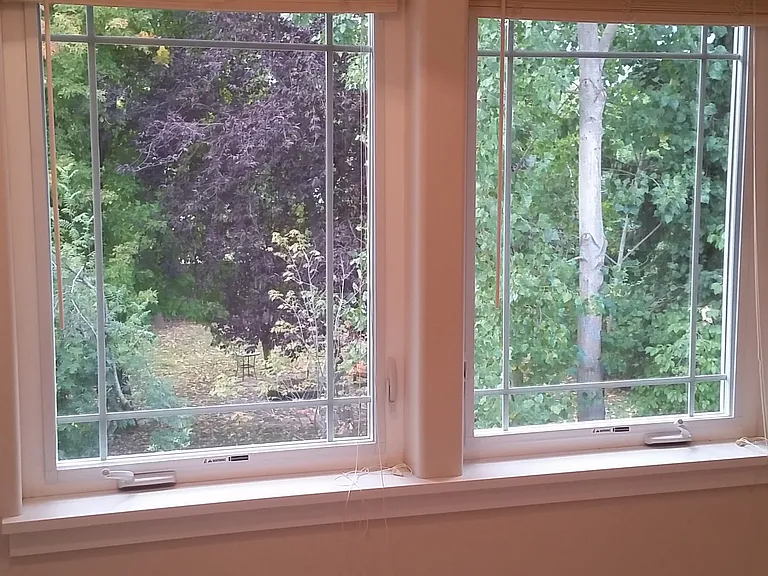 2nd bedroom trees!