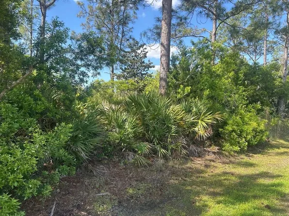 93 Prince Eric Ln Lot 24, Palm Coast, FL 32164
