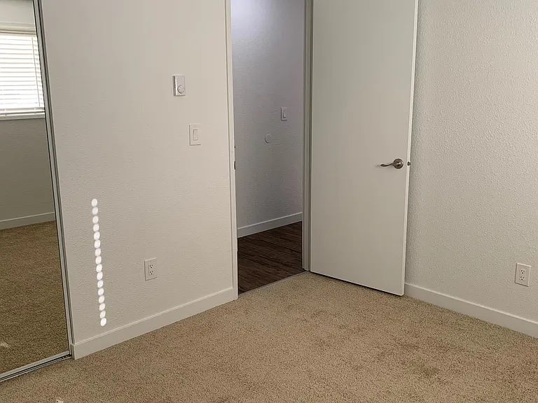 Tall Tree Manor — Photo 39