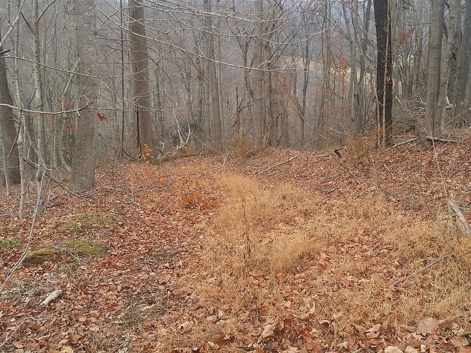 2nd image of 0 Perkin Hollow Rd