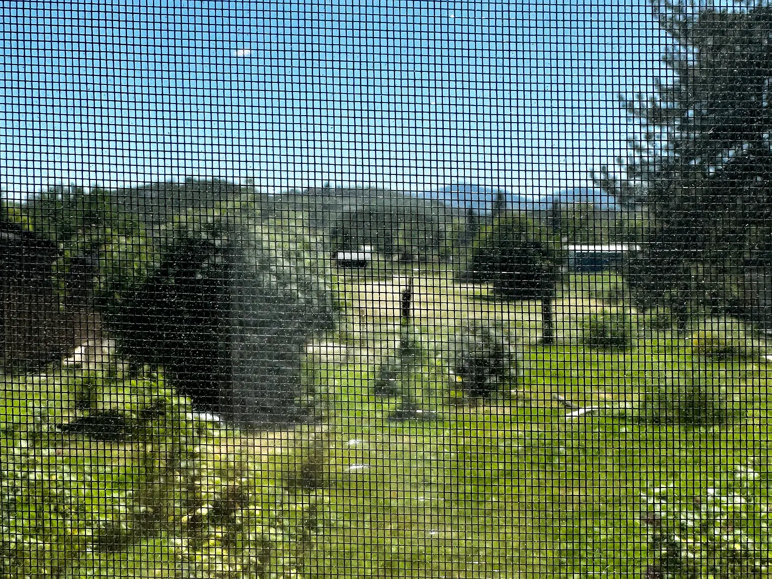 Shafer Ln, Medford — Photo 2