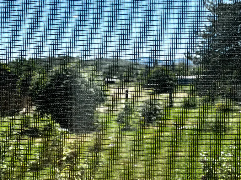 Shafer Ln — Photo 2