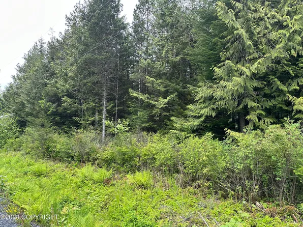 616 Council Dr, Wrangell, AK 99929