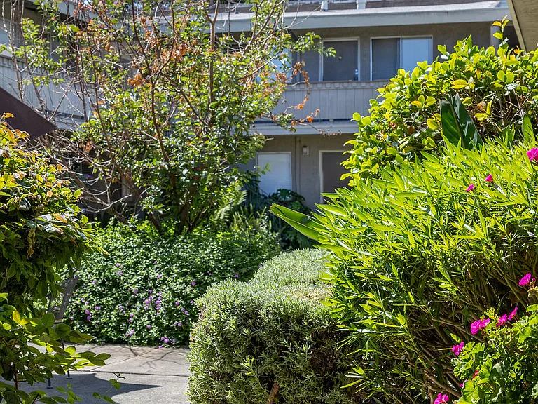 Fontainbleau Apartments — Photo 10