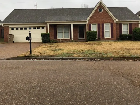 9246 Chalkwell Ave, Cordova, TN