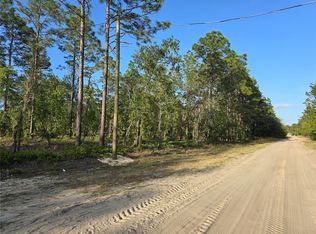 SW 99th Ln LOT 3, Dunnellon, FL 34432