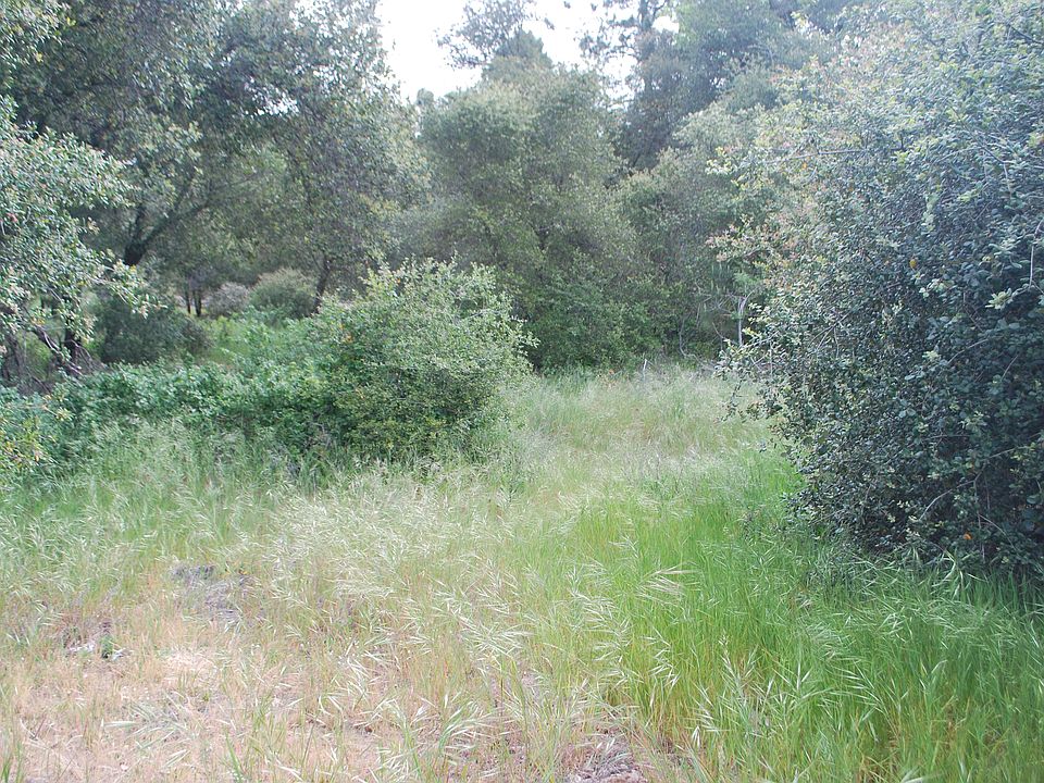 2nd image of Payson