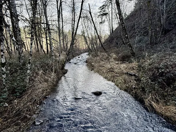 Butte Creek Xing, Scotts Mills, OR 97375