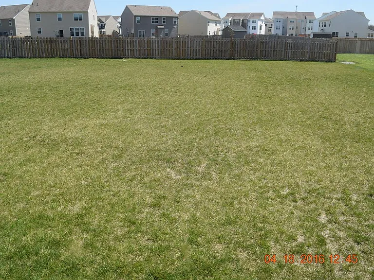 Back Yard view from inside of house