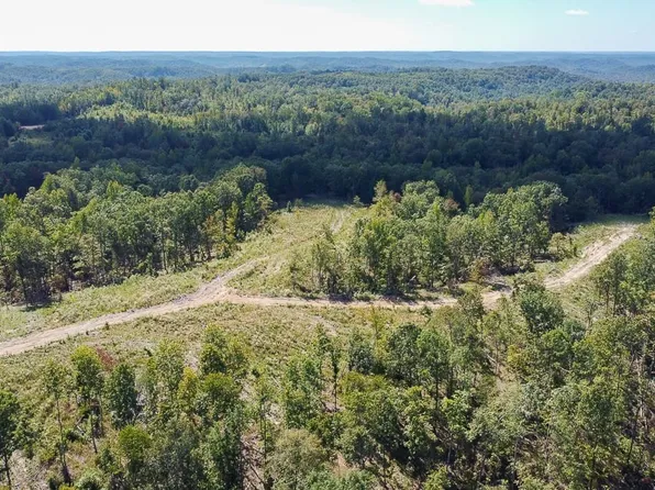 0 Whiteoak Rd E Lot D, Clifton, TN 38425