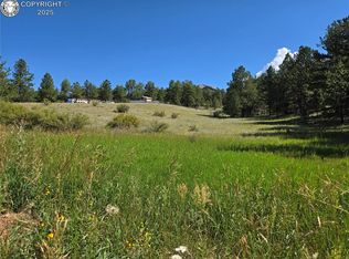 144 Cheyenne Way, Florissant, CO 80816