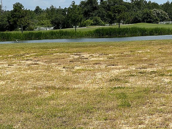 5th image of 3977 Palmetto Dr
