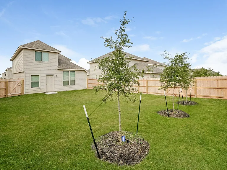 2339 Applewhite Mdw — Photo 3
