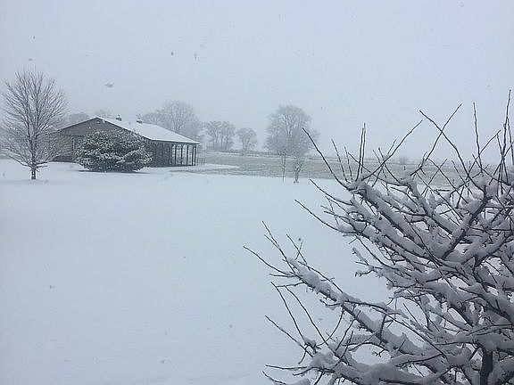 Looking out kitchen window 