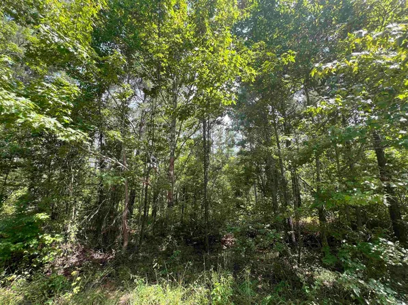 (undisclosed Address), Sheridan, AR 72150