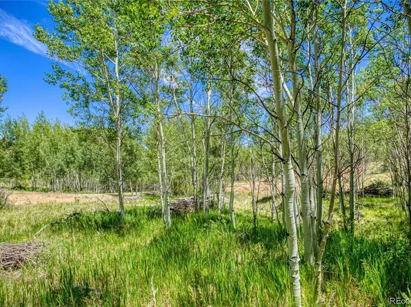 302 Rickel Circle LOT 24, South Fork, CO 81154