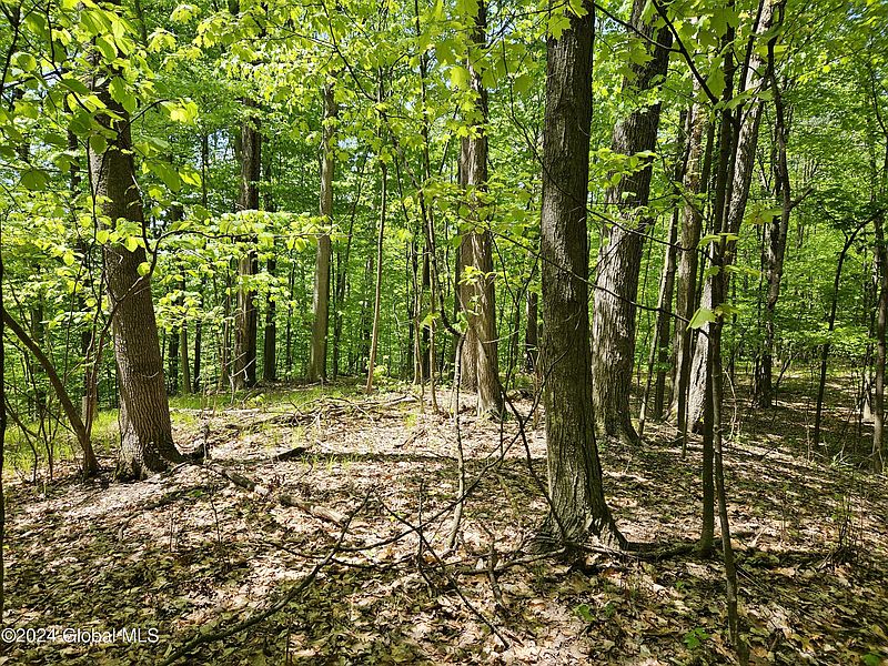 3rd image of 191 Cramer Road