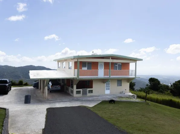 Bo Lapa F 7 Carr 162 Kmhm #.5, Salinas, PR 00751