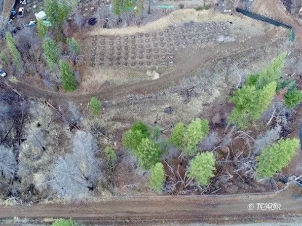 430 Trinity Pines Dr, Hayfork, CA 96041