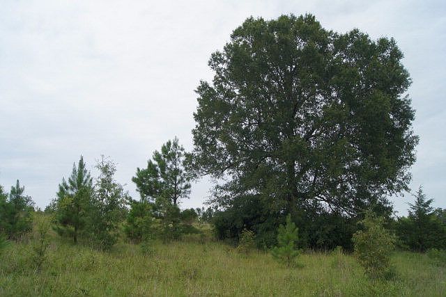 1st image of 22.26 Highway 220 E