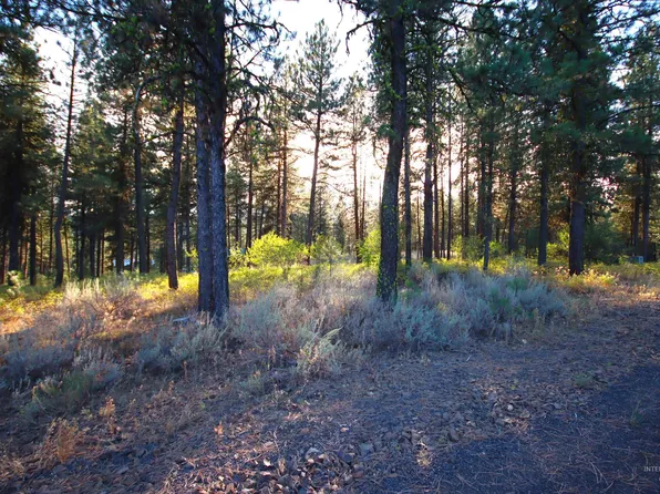 L5b4 Syringa Dr, New Meadows, ID 83654