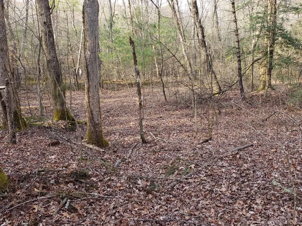 Mill Creek Acres, Blue Ridge, GA 30513