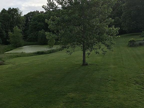 2nd image of 197 Cottonaro Dr