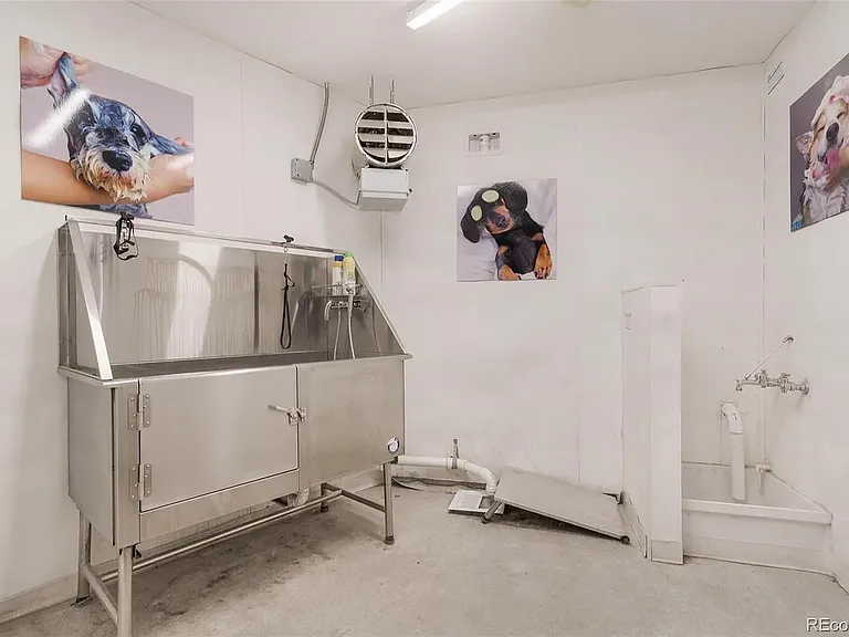 Dog washing station in the secure garage